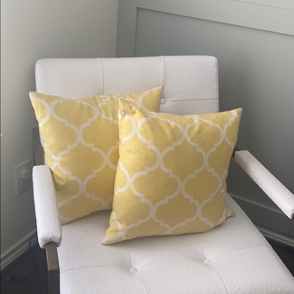 Set of 2 throw pillows.